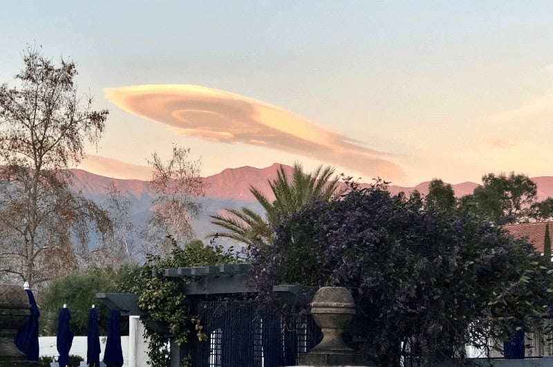 trees on a patio in Ojai with mountains in the background