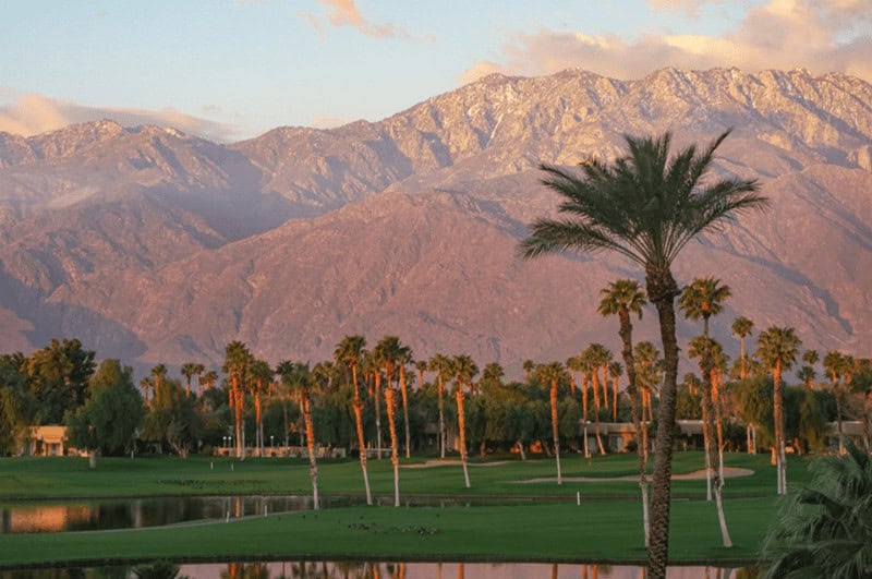 gold fourse in palm Springs, a popular warm winter getaway spot. Palm tree in foreground