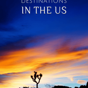 Silhouette of a Joshua tree at sunset. The text overlay says "warm winter destinations in the US"
