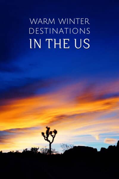 Silhouette of a Joshua tree at sunset. The text overlay says "warm winter destinations in the US" - best winter vacations in US, warm vacations in winter USA, warm winter vacations USA