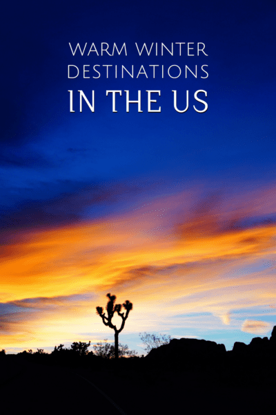 Silhouette of a Joshua tree at sunset. The text overlay says "warm winter destinations in the US" - best winter vacations in US, warm vacations in winter USA, warm winter vacations USA
