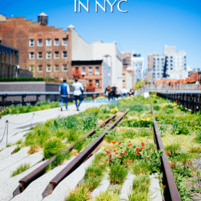 A variety of plants growing on the train tracks in The High Line park. Text overlay says "The Most Fantastic Parks in NYC"