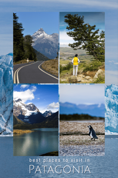 Clockwise from left: Road leading to a snow-capped mountain. Hiker standing next to a tree and looking at a valley. Penguin. Snow-covered mountains behind a lake. Text overlay says "the best places to visit in Patagonia"