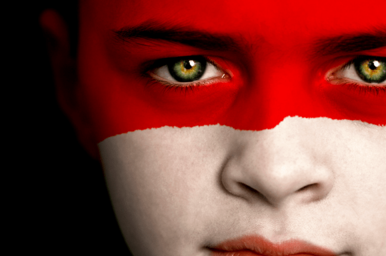 face painted with the Indonesian flag