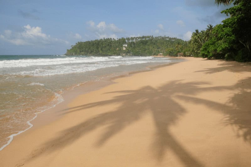 Mirissa Beach, with shadow of a palm tree in the foreground