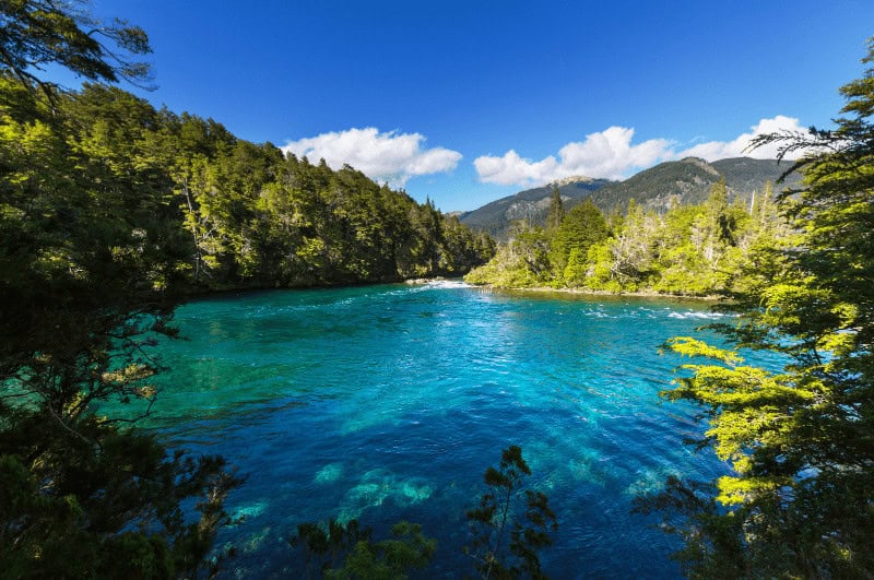 A forest-edged river in Patagonia, Chile