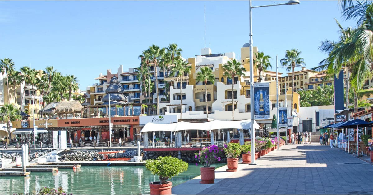 The marina, where many Cabo San Lucas shore excursions begin.