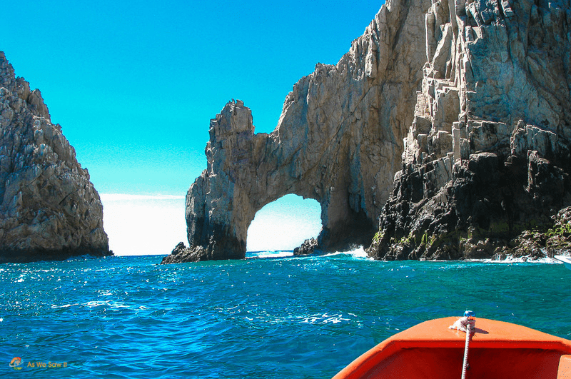 Glass bottom boat tour, one of the top Cabo San Lucas excursions