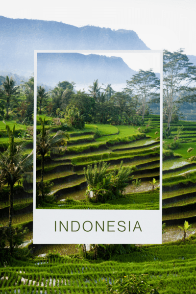Indonesian rice paddy. Text overlay says Indonesia"