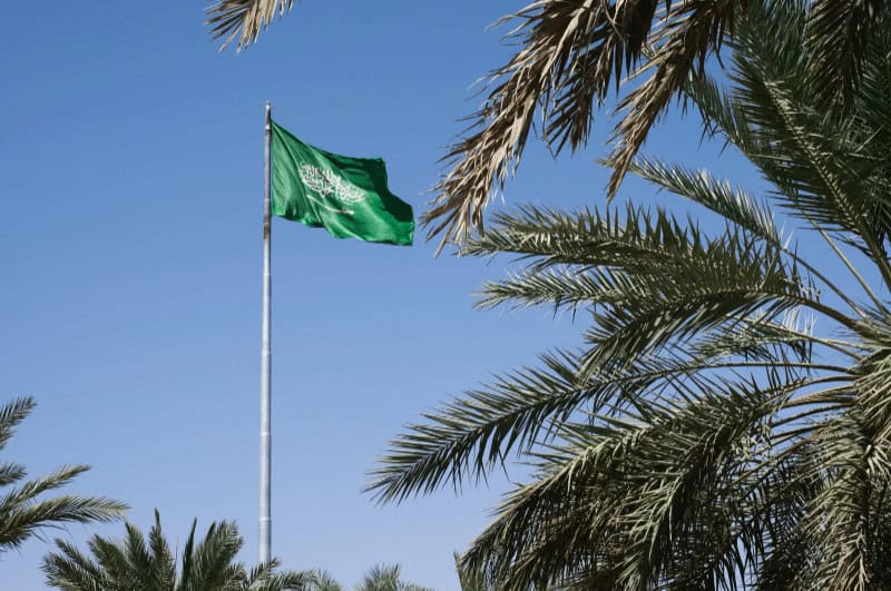 Saudi Arabian flag flying behind palm trees