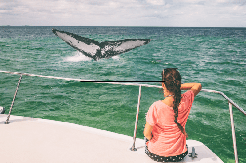 woman on a boat looking at the tail of a whale