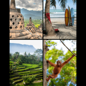 Clockwise from upper left: Borobodur temple, , surfboards under a palm tree on a beach, Orangutan in Borneo, and rice paddy. Text overlay says "when should you travel to Indonesia"