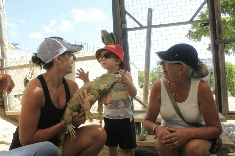 Mother and grandmother looking at a child with an iguana