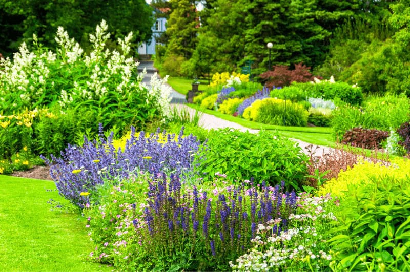 Flowers at the New York Botanical Garden in the Bronx, NY