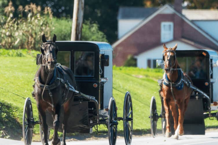 Amish Country, one of the best NYC day trips
