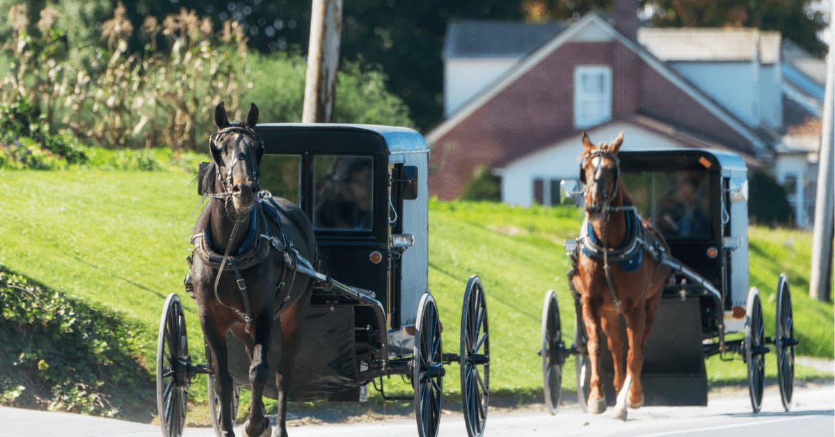 Amish Country, one of the best NYC day trips