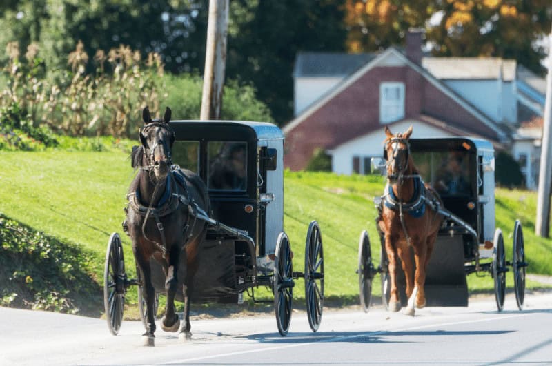 Amish Country, one of the best day trips from NYC
