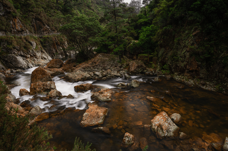 gorge in Coromandel peninsula