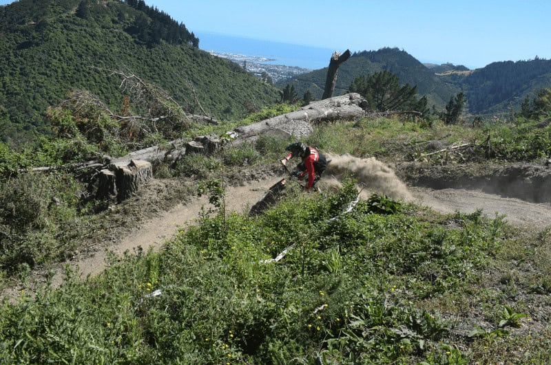 Mountain biker in Nelson