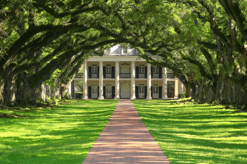 Tree-lined entrance to Oak AlleyPlantation, a stop on the Great River Road