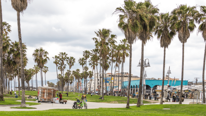 Oceanfront walk at Venice Beach in Los Angeles, a famous beach in California