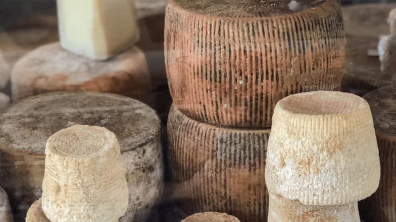 An assortment of cheeses for sale in Naxos