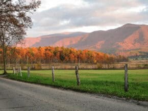 Loop Road in Cades Cove Tennessee