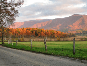 Loop Road in Cades Cove Tennessee