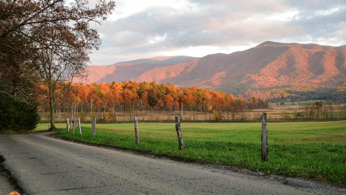 Loop Road in Cades Cove Tennessee
