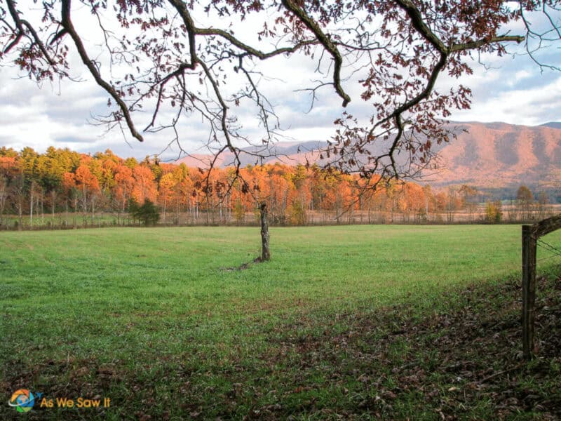 Cades Cove autumn sunset on trees and mountains