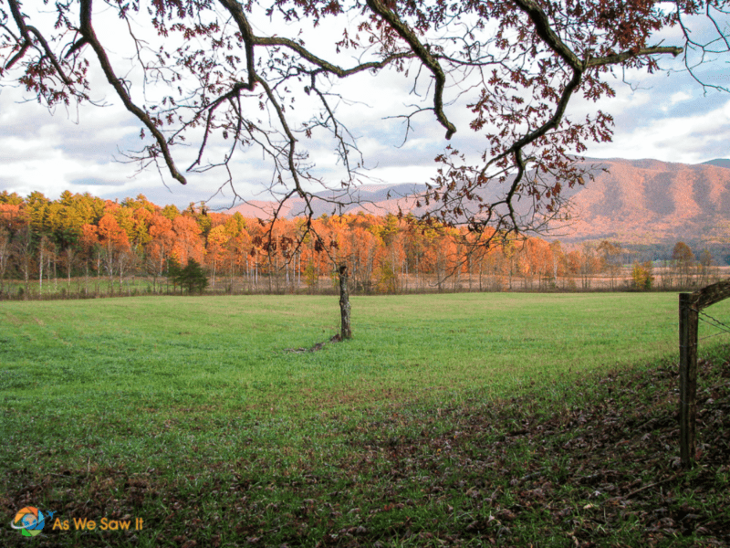 Cades Cove autumn sunset on trees and mountains
