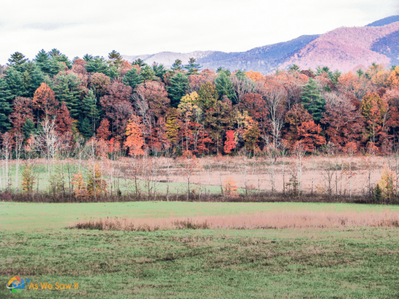 Trees in autumn at Cades Cove photos Tennessee