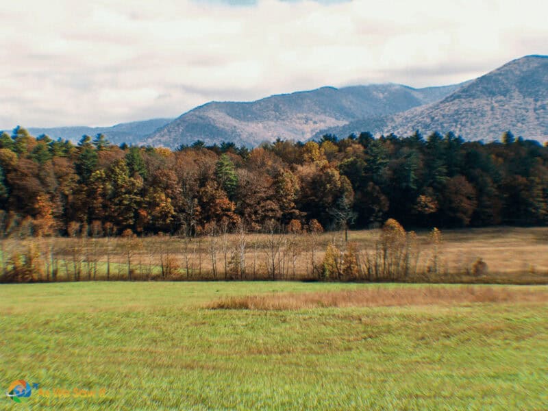 More Cades Cove fall colors
