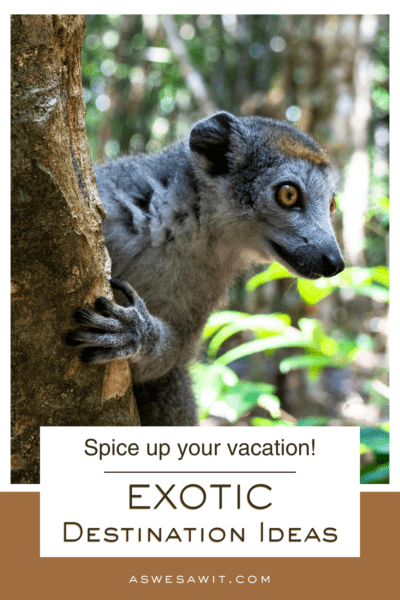 A lemur on a tree in Madagascar. The text overlay says "spice up your vacation! Exotic destination ideas"