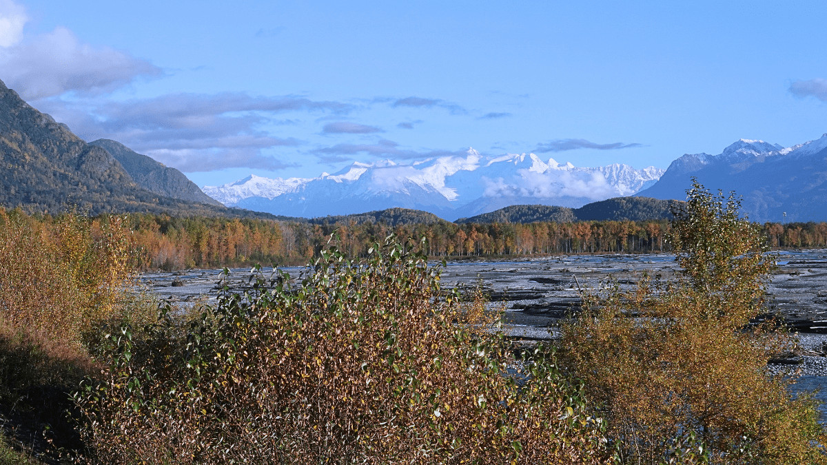 Alaska's mountain range showcases majestic snow-capped peaks under a clear sky, surrounded by autumn foliage and a rocky riverbed in the foreground.