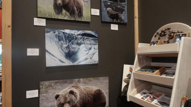 Display of Alaska photographs taken by locals. For sale in Talkeetna, Alaska