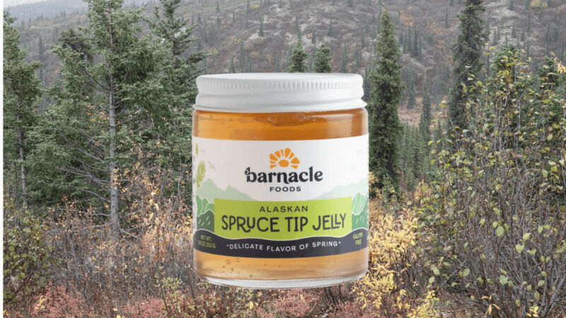A Jar of Barnacle brand Spruce Tip Jelly (amazing stuff!). Spruce tree background was taken at Denali National Park.