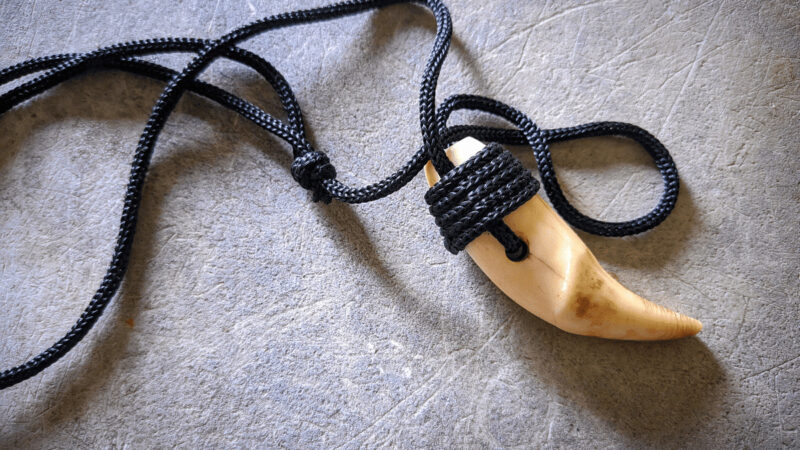 A genuine bear claw pendant on a necklace cord
