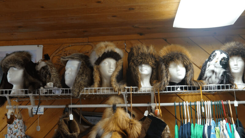Fur hats for sale in a Talkeetna souvenir shop.