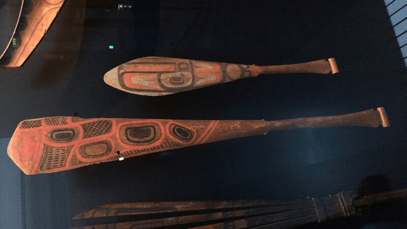 Museum display of two Tlingit paddles.