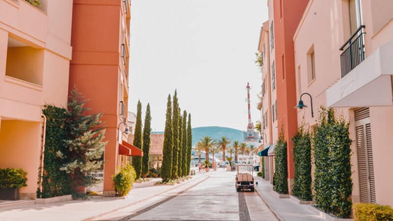 A bright, sunny pedestrian street in Porto Montenegro, Tivat, lined with tall cypress trees and modern buildings in warm terracotta and pale pink colors, with mountains visible in the distance.