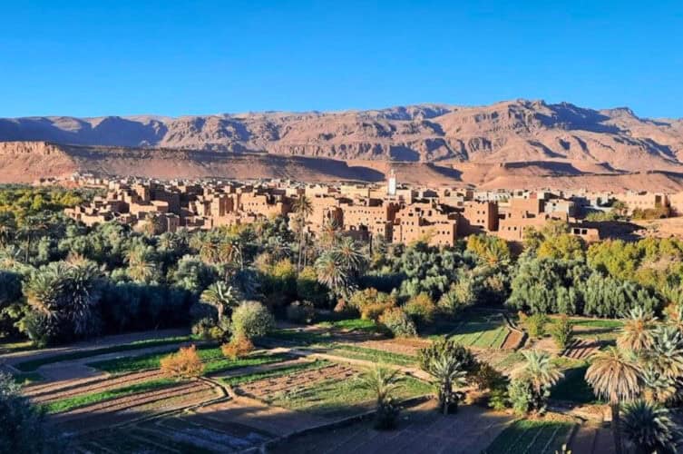 View of Tinghir oasis with palm groves and earthen Berber village homes at the base of the High Atlas Mountains near Todra Gorge.