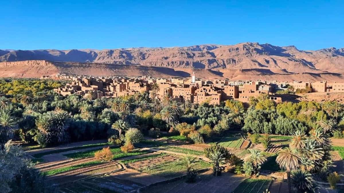 View of Tinghir oasis with palm groves and earthen Berber village homes at the base of the High Atlas Mountains near Todra Gorge.