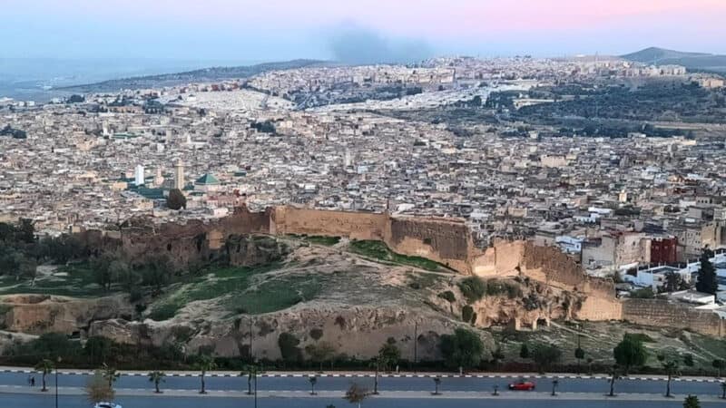 Overhead view of the Medina of Fes with dense rooftops, minarets, and historic tan buildings.