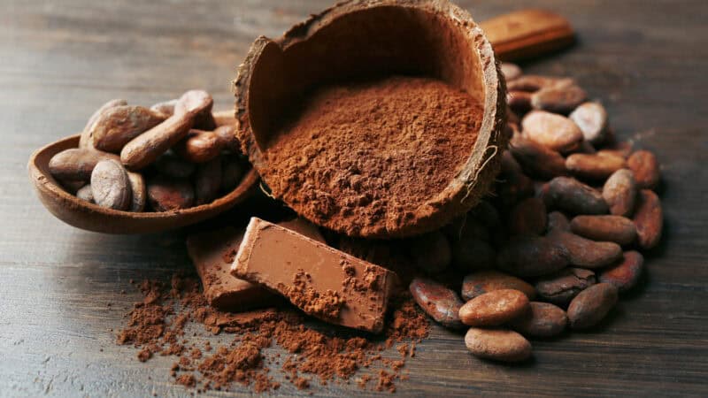 Cacao beans, ground chocolate, and handmade chocolate pieces representing traditional chocolate preparation in Mexico