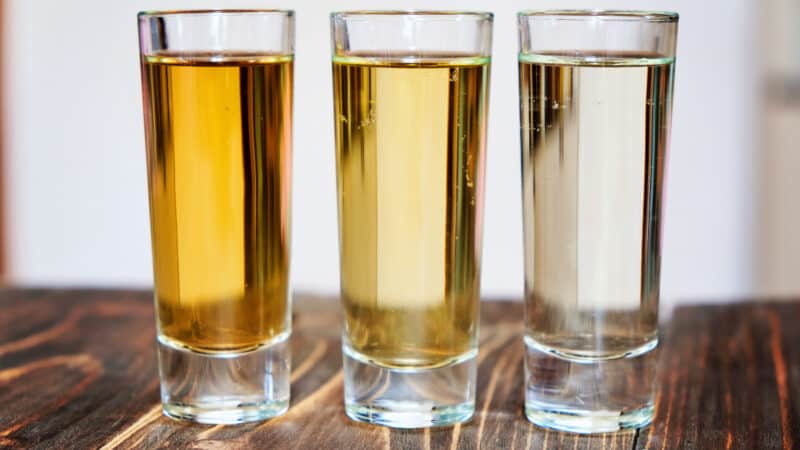 Tequila and mezcal tasting flight showing blanco, reposado, and clear mezcal samples during a guided tasting