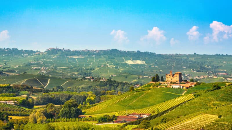 Rolling vineyards in the Langhe hills of Piedmont, one of Italy’s famous wine regions