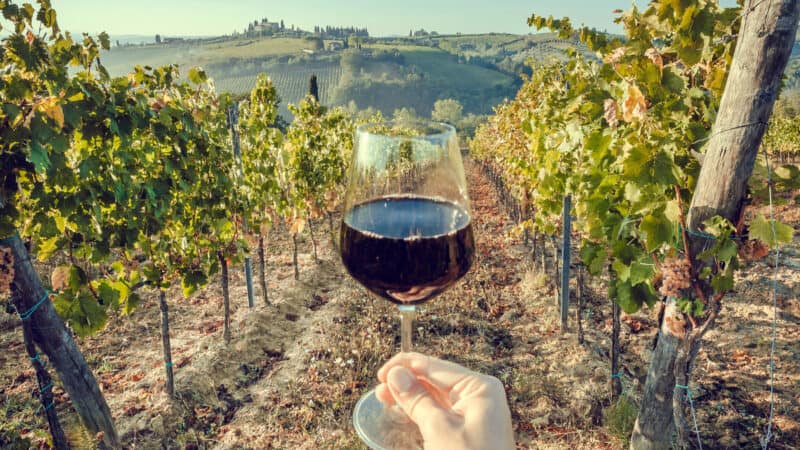 Glass of red wine held in a vineyard during a wine tasting in Italy