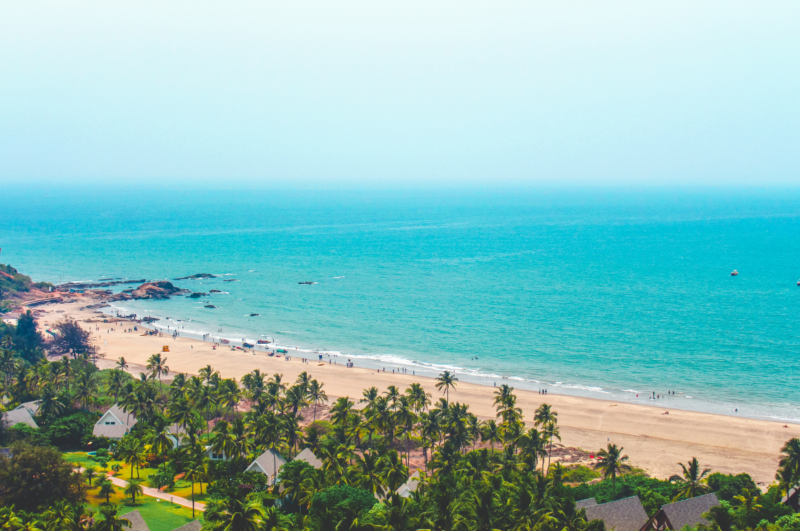 Coastal aerial view of beach and palm trees in Goa, India