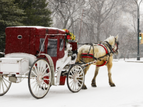 Horse-drawn carriage in Central Park during a snowy New York City winter day.